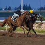 2026 Canadian Derby at a Glance